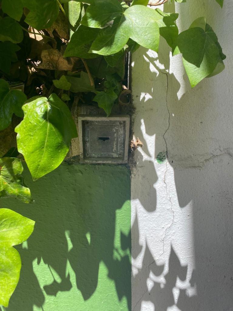 Rentalsevilla San Clemente Eksteriør billede