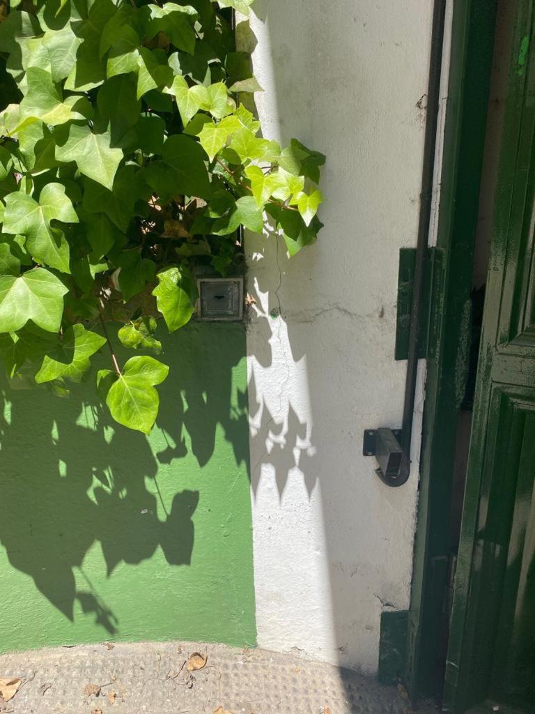 Rentalsevilla San Clemente Eksteriør billede