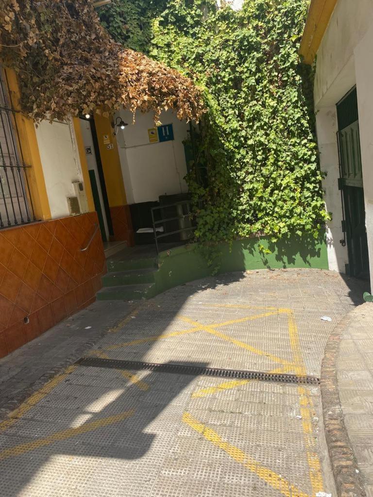 Rentalsevilla San Clemente Eksteriør billede