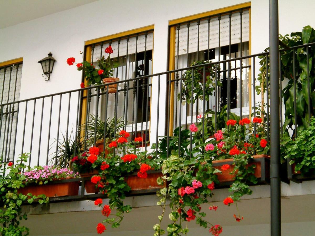 Rentalsevilla San Clemente Eksteriør billede
